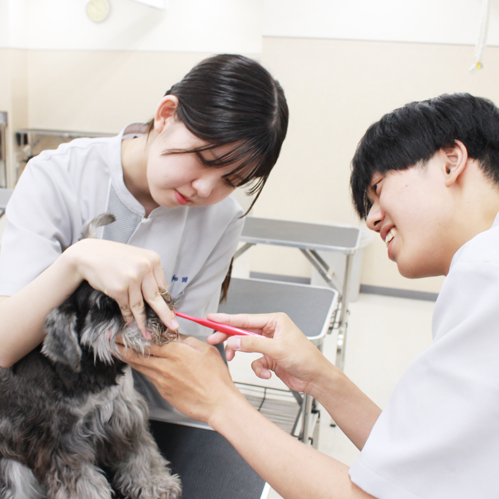 歯みがきは継続が大事！